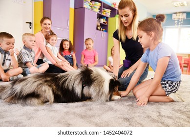 Woman And Therapy Dog Working With Kids In The Preschool 