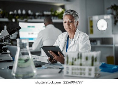 Woman, thinking or tablet in biology laboratory in plant science, medical research or gmo food engineering. Mature scientist, worker or technology for green sustainability, growth innovation or ideas - Powered by Shutterstock