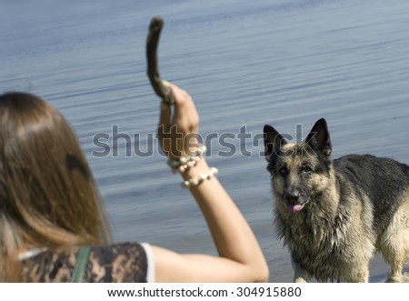 Woman throwing stick, her dog is waiting standing in water, cropped outdoor shot with selective focus