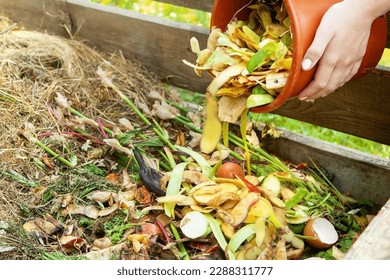 A woman throws kitchen waste, vegetable and fruit peels from a bucket into a composter. Close-up of a woman's hand with a bucket, recycling kitchen waste in a composter in the backyard. Copy space. - Powered by Shutterstock