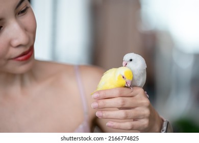 Woman with tiny yellow and white parrot Forpus bird.