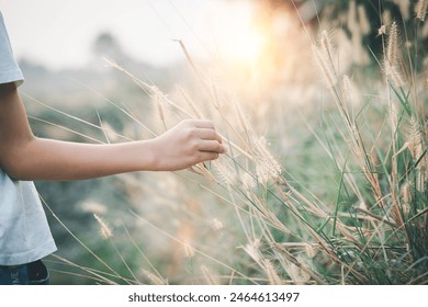 Woman touching tall grass in field - Powered by Shutterstock