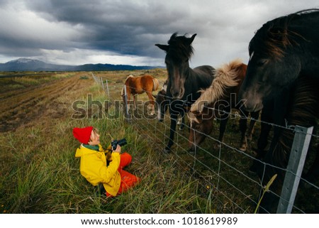 Woman tourist in bright clothes with beautiful horses , Iceland
