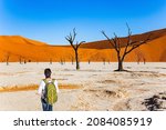 Woman tourist with green backpack watches the dunes. Africa, Namibia. The Namib-Naukluft Park. Huge scenic red and orange sand dunes. The skeletons of dead trees on the Sossusflei 
