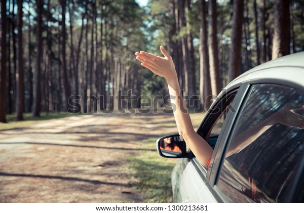 woman tourist hand out of car while traveling in
pine forest