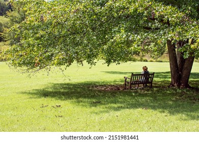 woman tourist in hat is resting on  bench in the shade of  tree in the park.