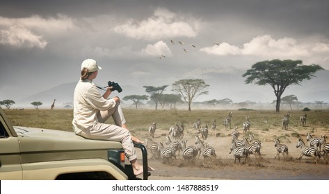 Woman tourist on safari in Africa, traveling by car in Kenya and Tanzania, watching zebras and antelopes in the savannah.
Adventure and wildlife exploration in Africa. Serengeti National Park. - Powered by Shutterstock