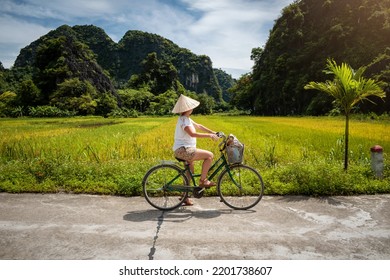 Woman tourist riding a bicycle through rice fields in Vietnam. Young woman riding a bike. Tourist on bicycle in Ninh Binh, Vietnam. Person with Vietnamese hat cycling through Ninh Binh, Vietnam  - Powered by Shutterstock