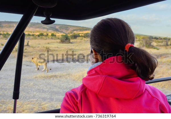 Woman tourist in safari car in\
Africa, watching lioness and african savannah\
wildlife\
