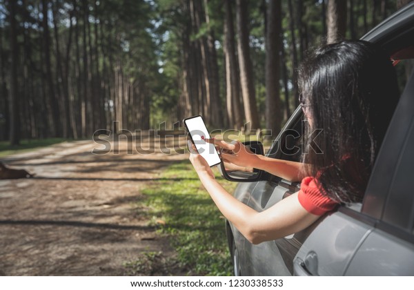 woman tourist searching place from smartphone\
in car while traveling in pine\
forest