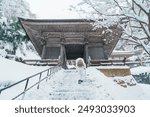 Woman tourist sightseeing Yamadera temple with snow in winter, traveler travel Risshakuji temple in Yamagata City, in Yamagata Prefecture, Tohuku, Japan. Landmark for tourists attraction in Japan