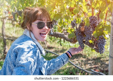 Woman Tourist Visit Hand Holding Bunch Of Fresh Ripe Red Grapes On The Vine With Green Leaves In Vineyard At Napa Valley. People Picking Grapes Concept.