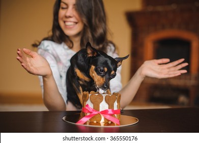 Woman And Toy Terrier With Dog Cake Infront On A Birthday Party 