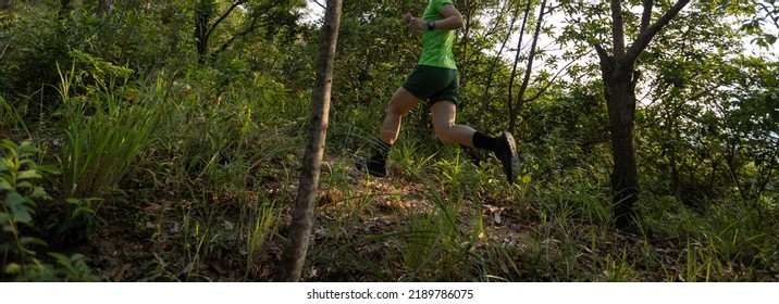 Woman Trail Runner Running At Sunrise Tropical Forest Mountain Peak