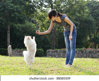 Woman Train Her Dog