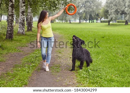 Woman is training black briard with help of toy outdoor.