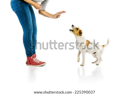 Woman training dog isolated on white background