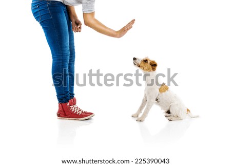 Woman training dog isolated on white background