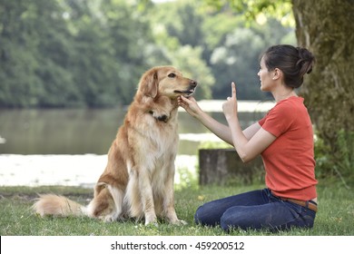 Woman Training Dog At The Park