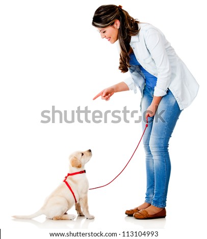 Similar – Dog, Labrador standing on the stairs