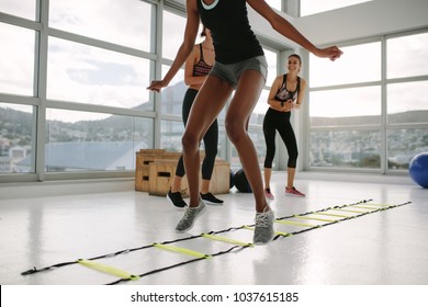 Woman training on agility ladder in gym. Fitness class cardio workout with speed ladder no floor. - Powered by Shutterstock