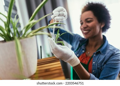 Woman Transplanting Flowers At Home.