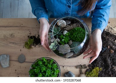 The woman is transplanting succulent in a glass vase on the table. Florarium with green succulents.Close-up of a succulent arrangement in a glass vase (terrarium).The girl is creating a composition. - Shutterstock ID 1933287068