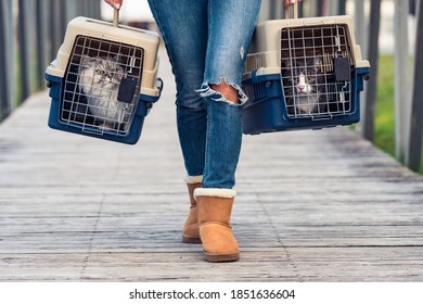 Woman Transporting Her Cat's In A Special Plastic Cage Or Pet Travel Carrier To A Veterinary Clinic