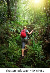 Woman Traveler With Backpack Climb The Hill In Rain Forest. Adventure, Travel, Tourism, Hike In Jungle Concept. 
Indonesia