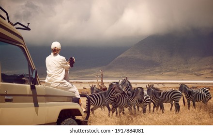 Woman traveler on safari-tour in Africa, traveling by car in Tanzania, watching wild animals and birds in the National park Ngorongoro.