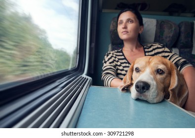 Woman Traveling With Dog In The Train Wagon