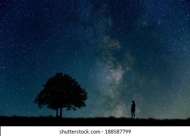 Woman, Tree, Night Sky And Grassland