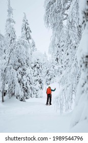 Woman Trekking Through The Snow In  Lapland, Finland