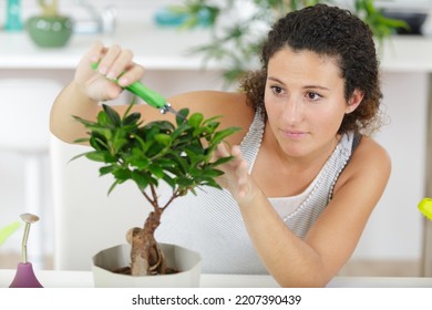 A Woman Trimming Bonsai Tree