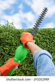 Woman Trimming Bushes Using An Electrical Hedge Trimmer, Gardening Concept