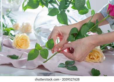 Woman trims the leaves from the stem of rose to prevent them from falling into the water in a vase, florist helps bouquet stay fresh looking - Powered by Shutterstock