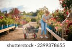 Woman With Trolley Outdoors In Garden Centre Choosing Plants And Buying Rose