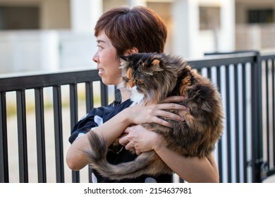 Woman Trying To Cradle The Fluffy Calico Cat.