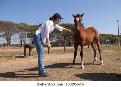 Woman Trying To Tame A Foal.