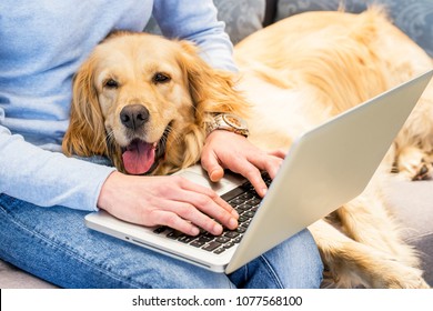 Woman Typing On Laptop While Dog Lays In Her Lap