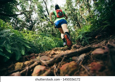 Woman Ultra Marathon Runner Running On Tropical Rainforest Trail