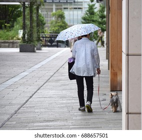 woman with umbrella walks her dog