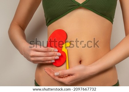 a woman in underwear holds a mock up of a human kidney at the waist level