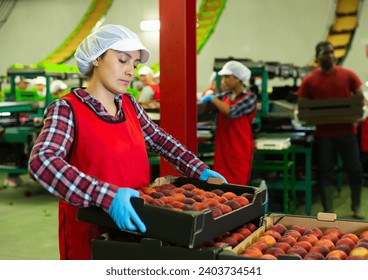 Woman in uniform carry crates with ripe peaches at the warehouse - Powered by Shutterstock