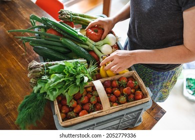 Woman Unpacking Her Groceries In The Kitchen At Home
