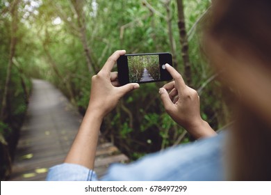 woman use phone taking nature photo