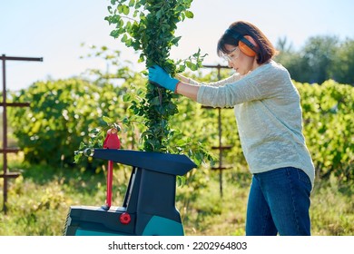 Woman Using Electric Garden Shredder For Branches And Bushes