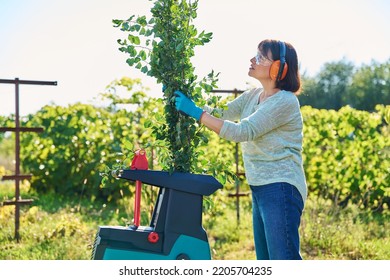 Woman using electric garden shredder for branches and bushes - Shutterstock ID 2205704235