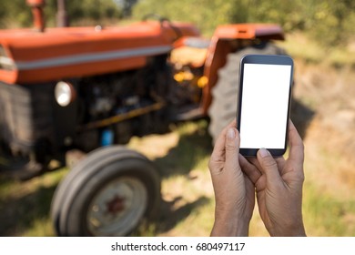 Woman using mobile phone in olive farm on a sunny day - Powered by Shutterstock