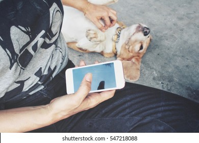 Woman Using Smart Phone With Dog